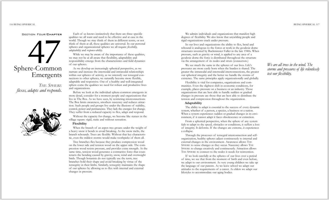 Two-page spread from Being Spherical, Chapter: Sphere-Common Emergents